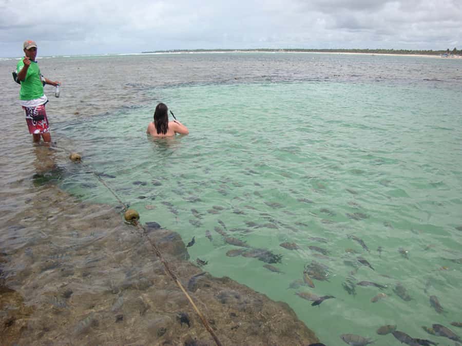 Porto Galinhas Full Day Tour - Who will enjoy this Porto Galinhas day trip