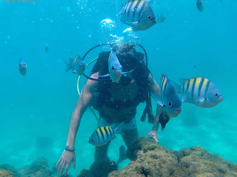Porto Galinhas Full Day Tour - The ride from Recife and what transport really includes