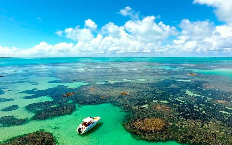 Praia de Paripueira Beach Day Tour - Key points to know before you book