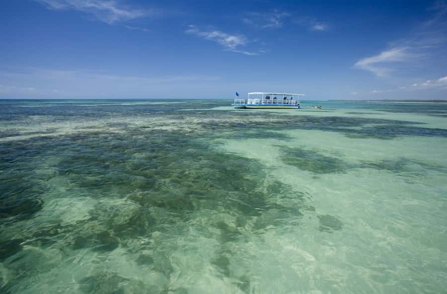 Praia de Paripueira Beach Day Tour - Who will enjoy this beach day most