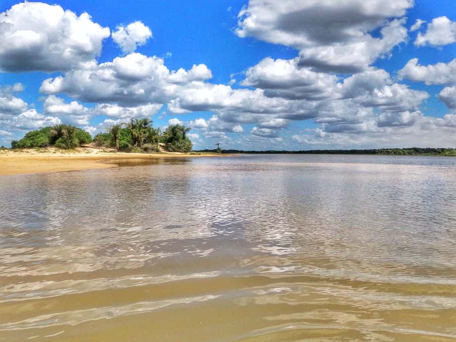 Preguicas River Speedboat Tour - Key points to know before you go