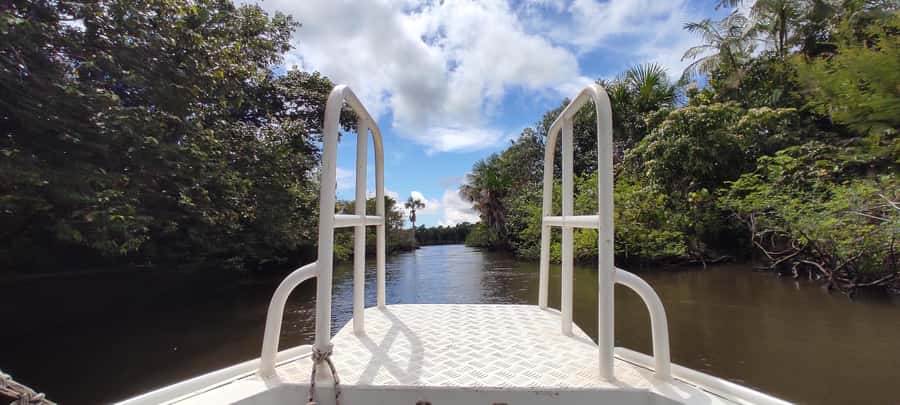 Preguicas River Speedboat Tour - Riding the Preguiças River by fast boat