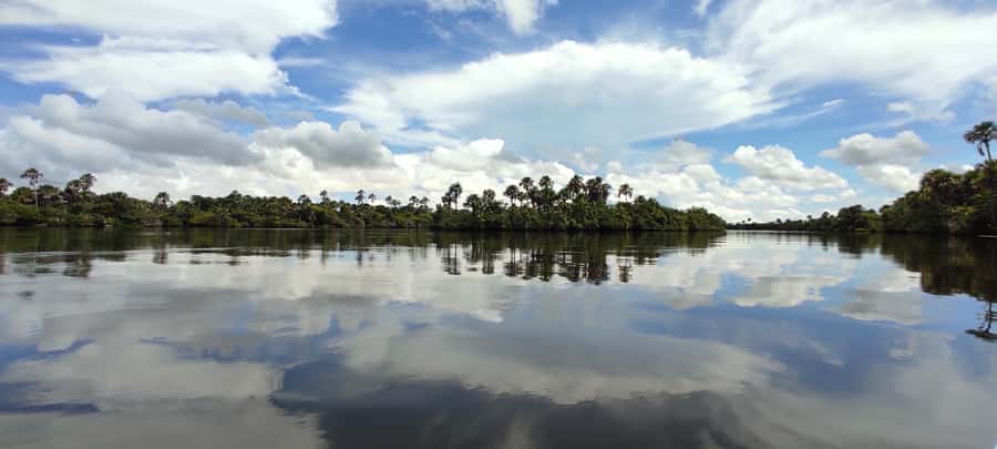 Preguicas River Speedboat Tour - Vassouras and the monkey stop