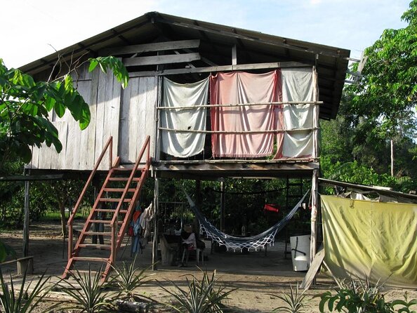 Presidente Figueiredo Tour - Why Presidente Figueiredo Makes a Good Day Trip