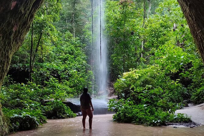 Presidente Figueiredo Tour - The Trail: Mud, Roots, and Water