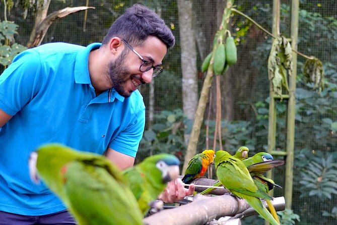 Private 3-Day Iguazu Falls Tour - Day one: Brazilian falls, Atlantic Forest birds, and Macuco Safari