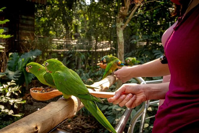 Private 3-Day Iguazu Falls Tour - Private transport and the pace of the days