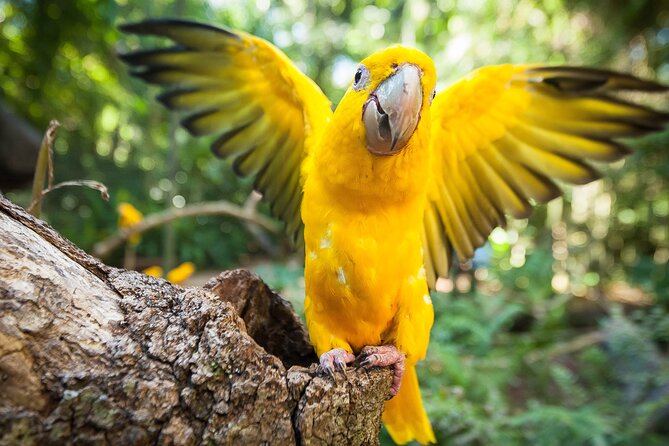Private 3-Day Iguazu Falls Tour - Who should book this three-day program?