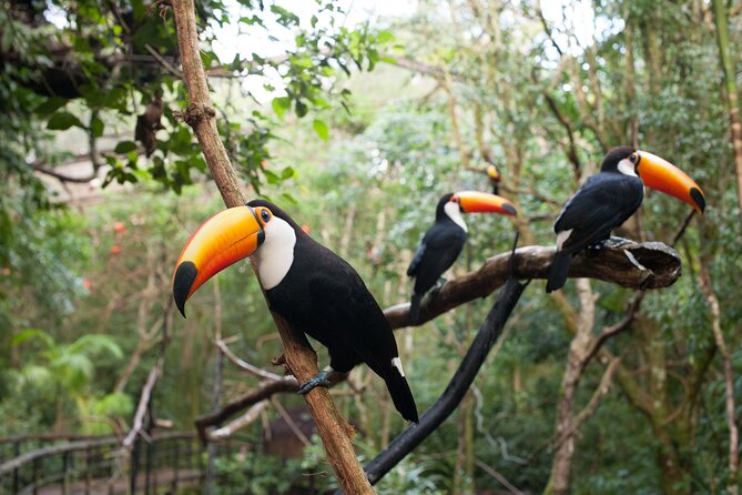Private 3-Day Iguazu Falls Tour - Should you book it?