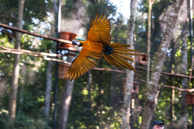 Private 3-Day Iguazu Falls Tour - Day two: the Argentine falls and Puerto Iguazu