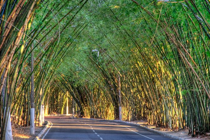 Private Airport Transfer to Salvador - Why a private arrival transfer helps in Salvador