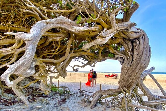 Private buggy tour along the east coast of Jericoacoara - What the six-hour schedule really means