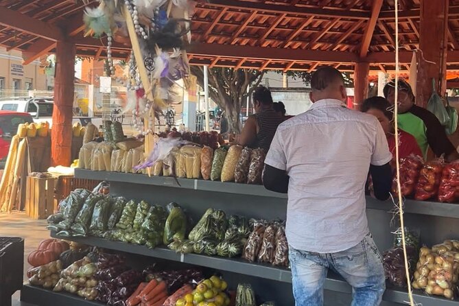 Private Cultural Tour in Campo Grande - Why this private Campo Grande tour works