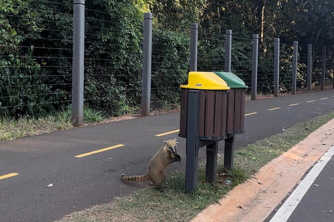 Private Cultural Tour in Campo Grande - Parque dos Poderes: A short wildlife search from the truck