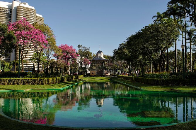 Private Custom Walking Tour with a Local Guide in Belo Horizonte - Five useful things to know before booking