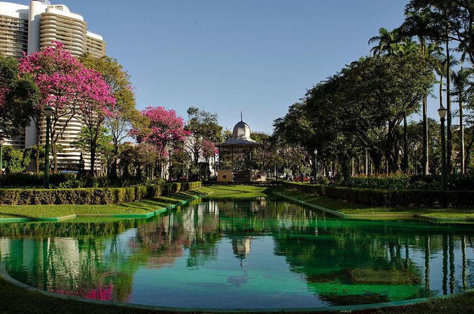 Private Custom Walking Tour with a Local Guide in Belo Horizonte - Timing, walking, and practical comfort