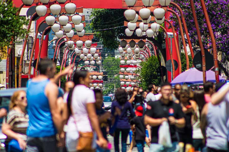 Private Customizable City Tour of São Paulo - The historic center packs in the major sights