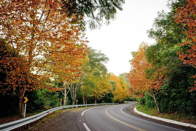 Private day tour to Canela and Gramado (English speaking guide) - Why private transport changes the Serra Gaúcha visit