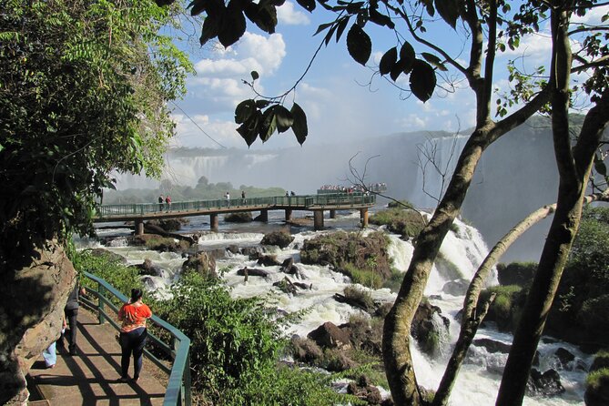 Private day tour to Iguazu Falls Brazil, Bird Park and Itaipu Dam - Why the Brazil side works so well in one day