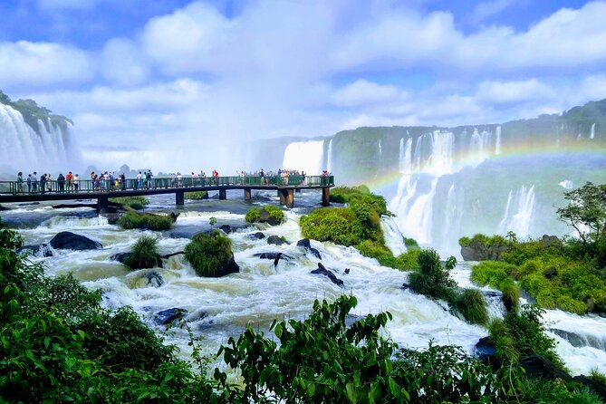 Private day tour to Iguazu Falls Brazil, Bird Park and Itaipu Dam - The Bird Park brings you close to native species
