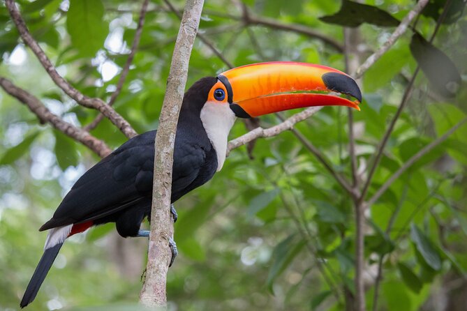 Private Hiking Tour to Lagoinha do Leste - Returning through 2 kilometers of Atlantic Forest