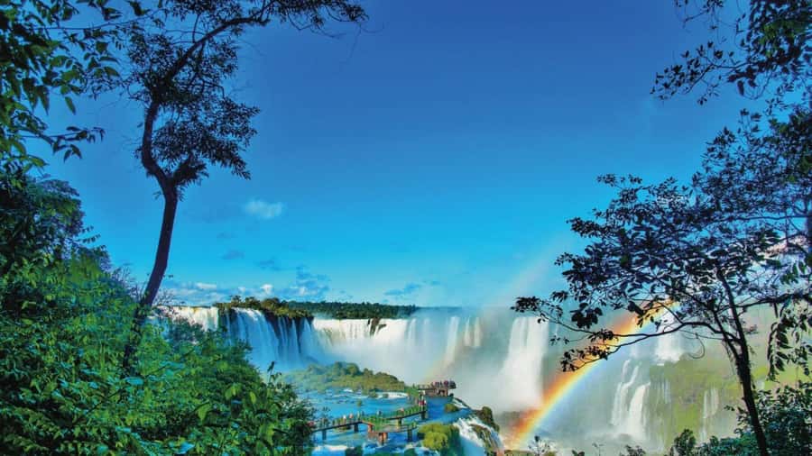 Private Iguaçu Falls: Explore Brazilian and Argentine Side - Riding the Ecological Train Through the Rainforest