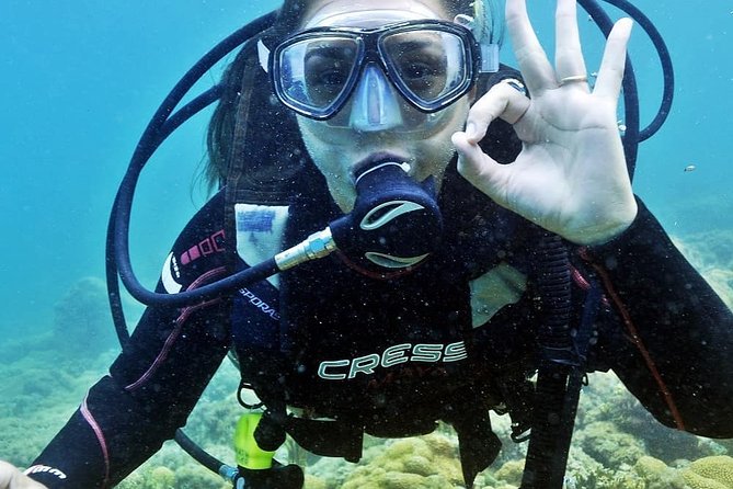 Private Program for Accredited Diver in Búzios - Key points to know before you book