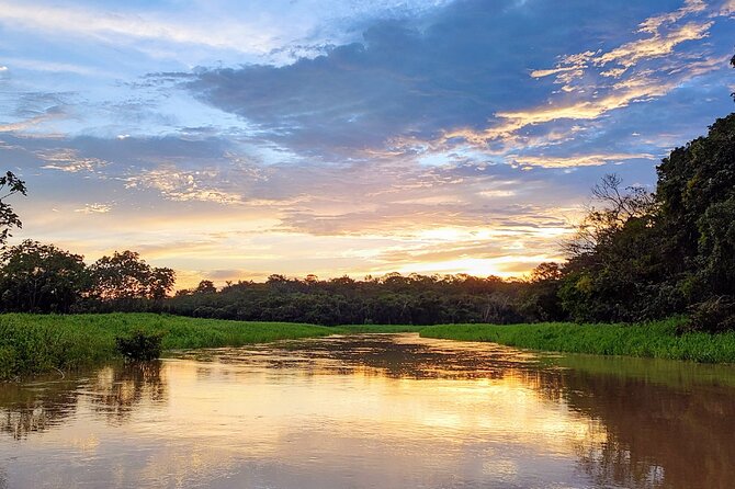Private River Tour by Speedboat in the Amazon, Lily Pads & Nature - A half-day route that shows several sides of Manaus