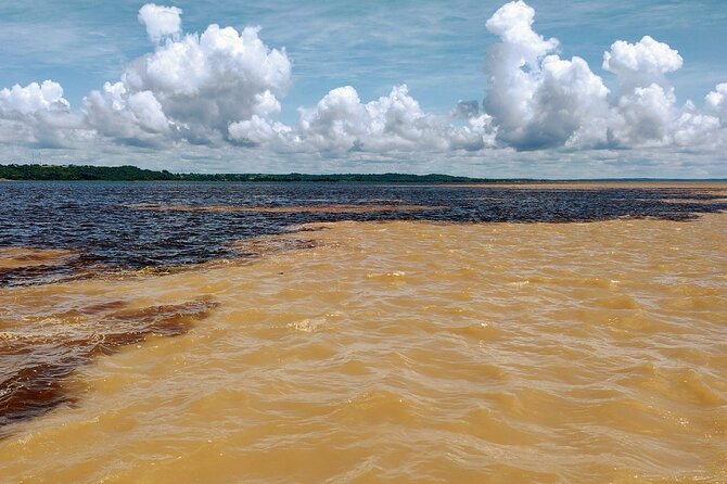 Private River Tour by Speedboat in the Amazon, Lily Pads & Nature - Janauari Lake and the giant vitória-régia lilies