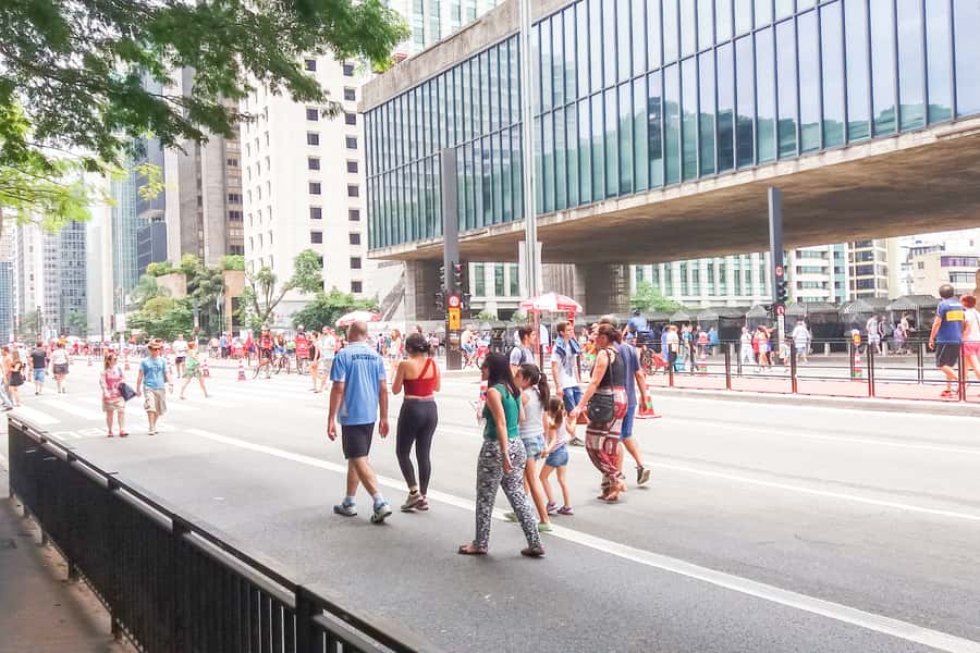 Private São Paulo City Tour - Price, vehicle size, and overall value