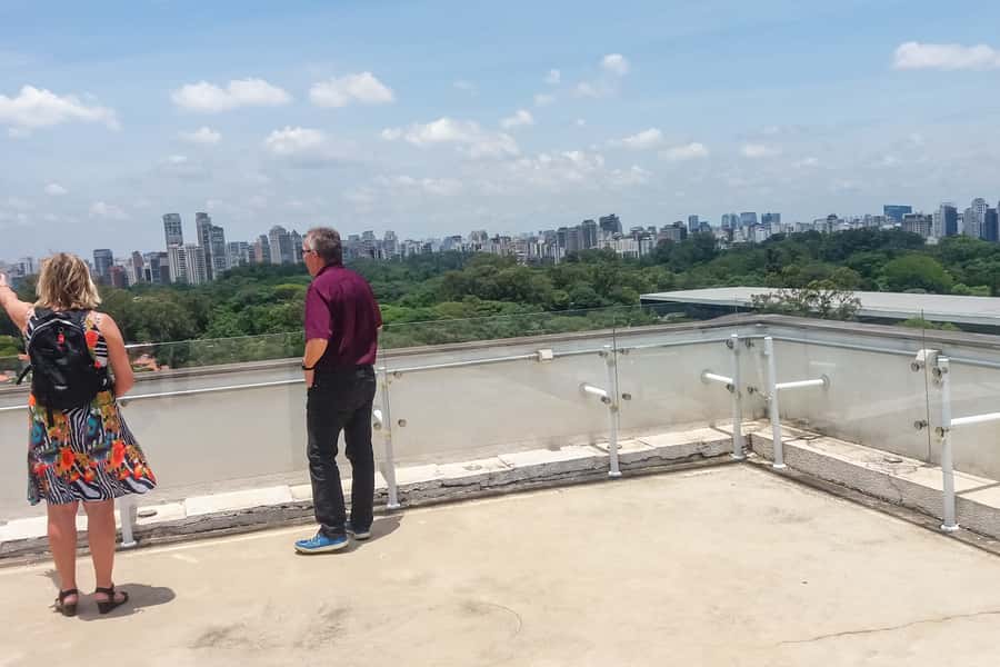 Private São Paulo City Tour - Ibirapuera Park and a change of pace
