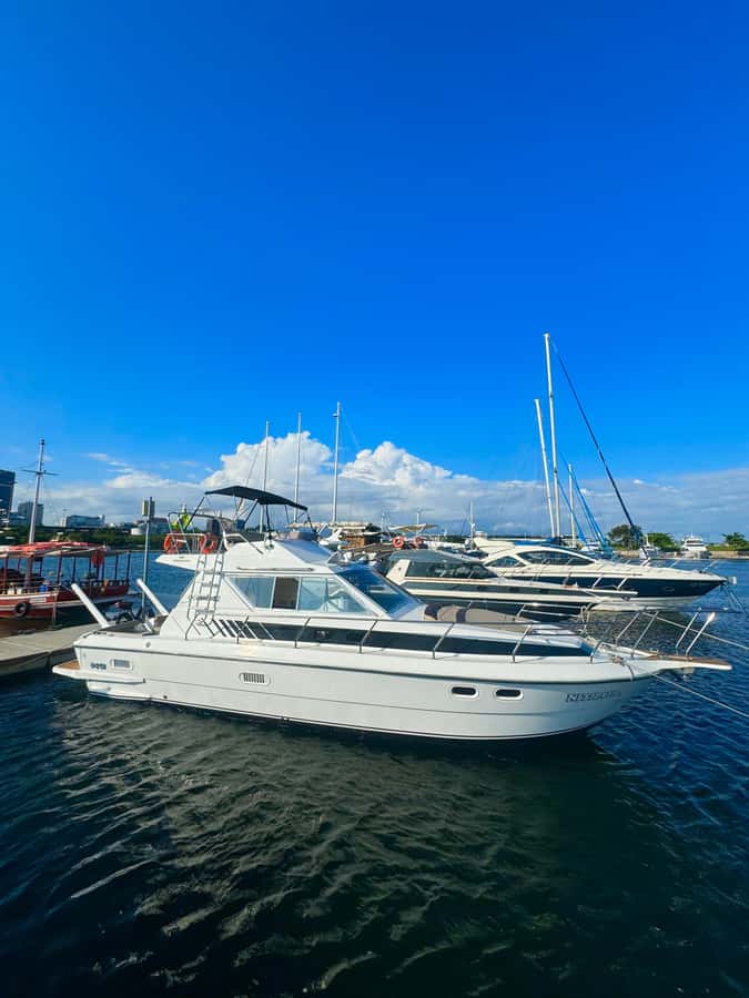 Private speedboat tour in Rio de Janeiro - Key points to know before booking
