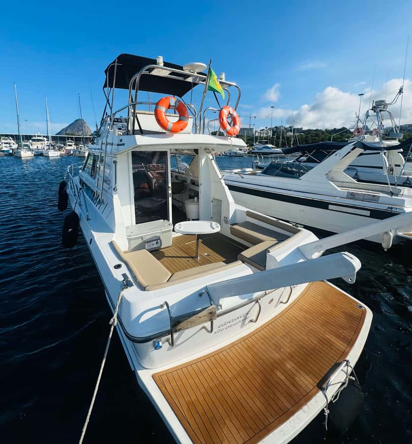 Private speedboat tour in Rio de Janeiro - Why Rio’s coast works so well by boat