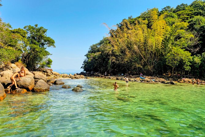 Private Speedboat Tour with Blue and Green Lagoons in Ilha Grande - Green Lagoon: a second chance for wildlife