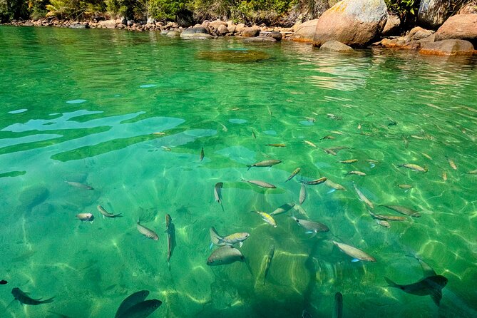 Private Speedboat Tour with Blue and Green Lagoons in Ilha Grande - Praia do Amor and its romantic legend
