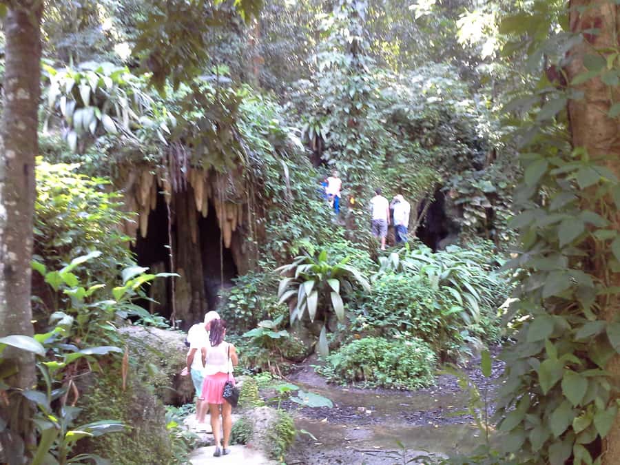 Private Tijuca Forest & Botanical Garden Guided Tour - Who should book this tour?