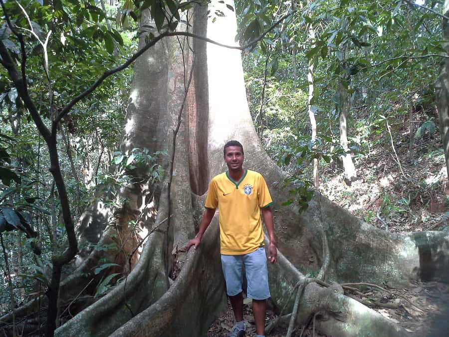 Private Tijuca Forest & Botanical Garden Guided Tour - Why this private Rio nature tour works
