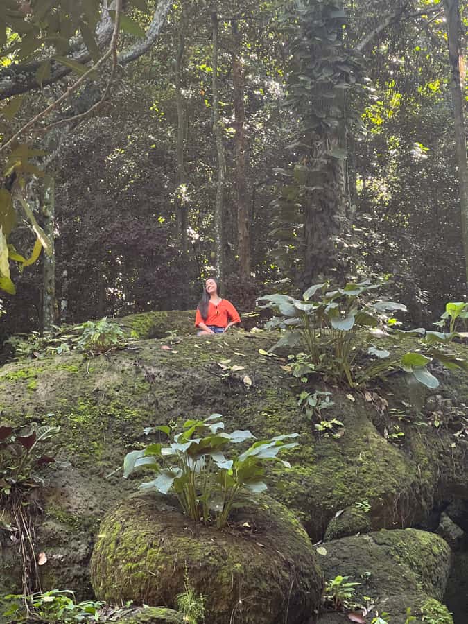 Private Tijuca Forest & Botanical Garden Guided Tour - Walking through Tijuca National Park