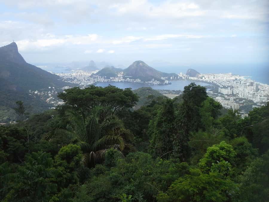 Private Tijuca Forest & Botanical Garden Guided Tour - Cascatinha Taunay and the best pause in the forest