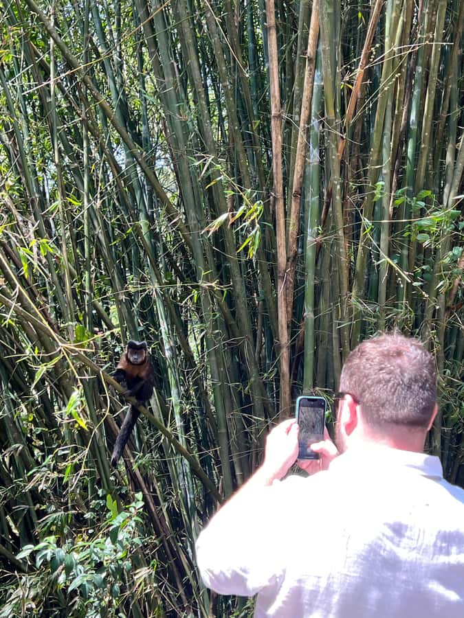 Private Tijuca Forest & Botanical Garden Guided Tour - Rio Botanical Garden after the forest