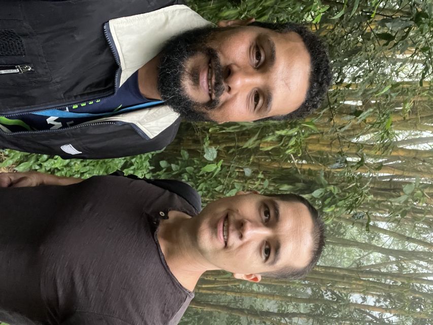 Private Tijuca Forest & Botanical Garden Guided Tour - Is $80 per person a fair price?