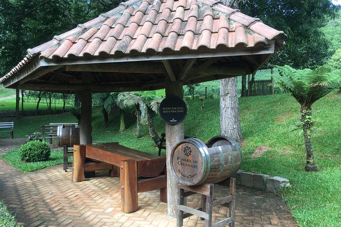 Private Tour Cave Geisse + 2 Wineries from Pinto Bandeira RS - Why Pinto Bandeira makes a fine wine-country outing