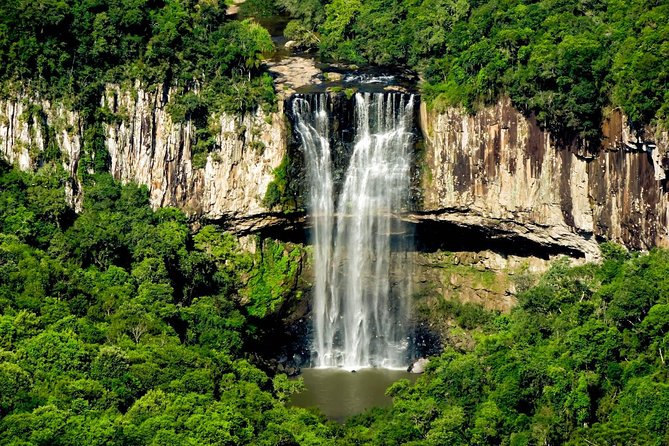 Private Tour Cave Geisse + 2 Wineries from Pinto Bandeira RS - Price, exclusions, and the real cost