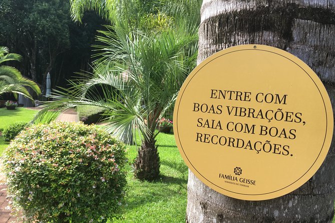 Private Tour Cave Geisse + 2 Wineries from Pinto Bandeira RS - Who should book this Pinto Bandeira tour