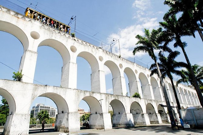 Private Tour: Explore Rio creating your own Itinerary - Botanical Garden: A Slower Hour Among Plants