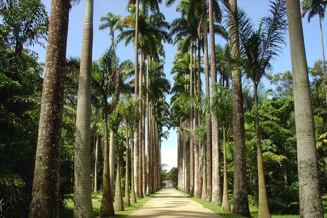 Private Tour: Explore Rio creating your own Itinerary - Rio’s Historic Center: One Hour of City Context
