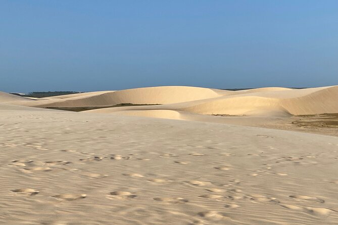 Private Tour - Full Island - Nature, beach and sea - Ecotour - Joaquina Beach gives you a classic east-coast stop