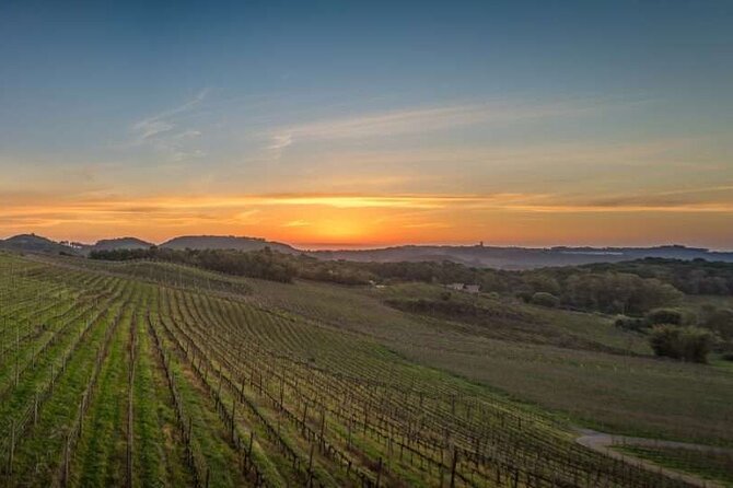 Private tour guiding from Porto Alegre to Gramado or wine region - Languages and communication
