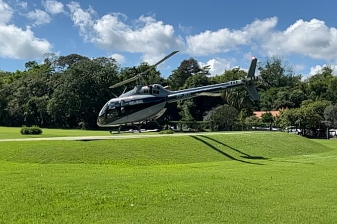 Private Tour Iguaçu Waterfalls + Helicopter Flight - How private transport changes the experience