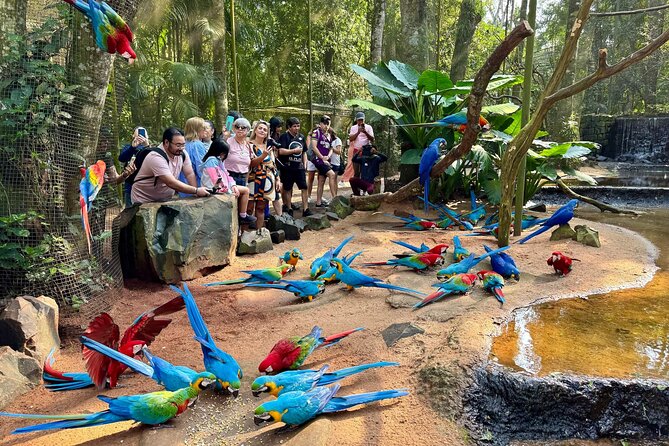 Private Tour Iguazu Falls Full Day Brazil with Bird Park - Why this Brazilian-side combination works